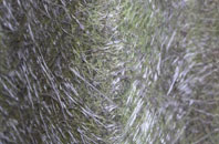 Kents Hill fibreglass roof work